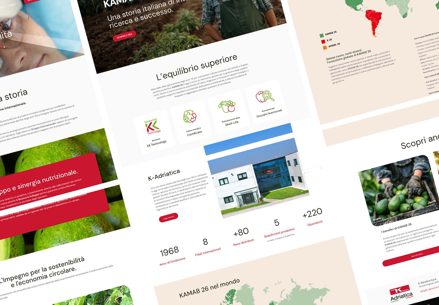 Kamab 26 | Consulenza SEO